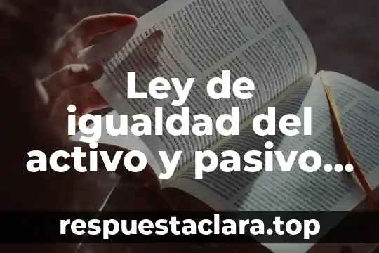 Que es la garantia de igualdad en mexico 5 Ley de igualdad del activo y pasivo que es
