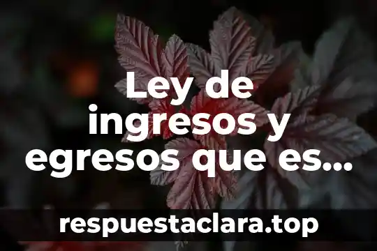 Ley de ingresos y egresos que es y para que