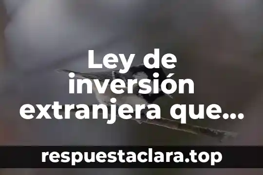 Que es el principio de igualdad ante la ley 5 Ley de inversión extranjera que es