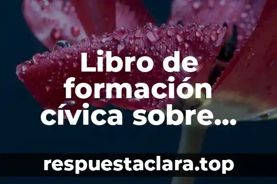 Que es la argumentacion en formacion civica y etica 3 Libro de formación cívica sobre que es ciudadano