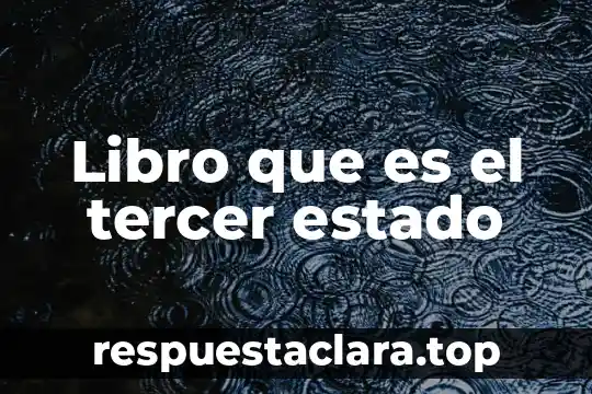 Que es el argumento del un libro 6 Libro que es el tercer estado