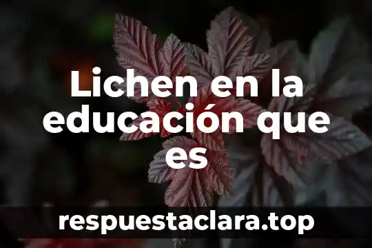 Lichen en la educación que es