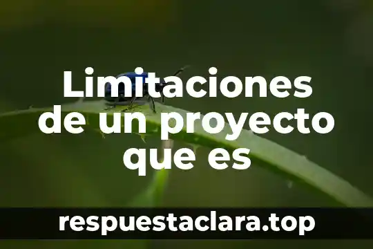 Alcances y limitaciones que es 6 Limitaciones de un proyecto que es