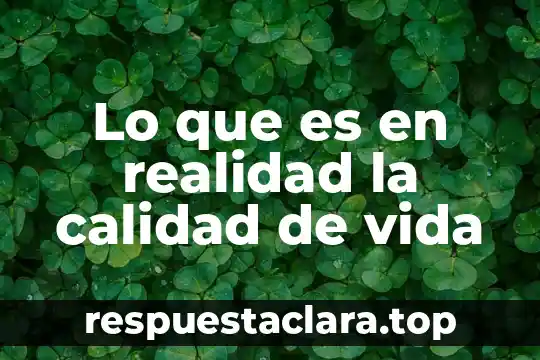 Qué es la acreditación en calidad del suministro 5 Lo que es en realidad la calidad de vida