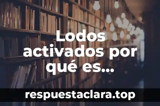 Que es la fase de compuesto organico 4 Lodos activados por qué es secundario