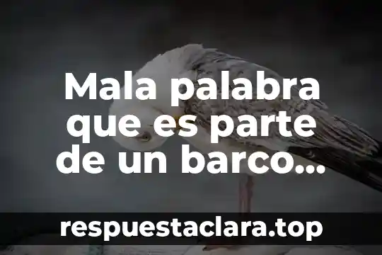 Mala palabra que es parte de un barco verga