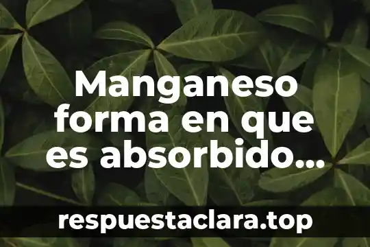 Que es la planta medicinal cola de caballo 6 Manganeso forma en que es absorbido en la planta