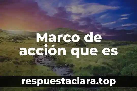 Marco de acción que es
