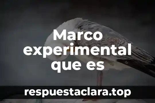 Marco experimental que es