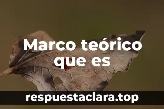 Marco teórico que es