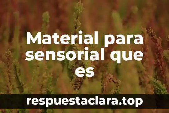 Material para sensorial que es