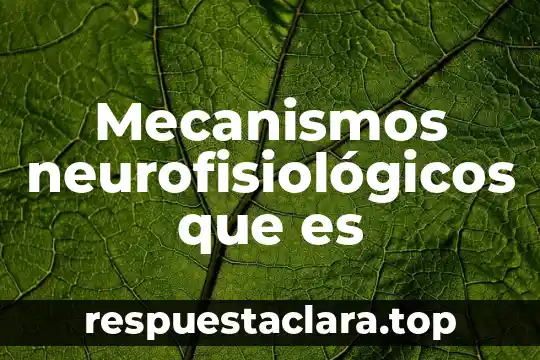 Variantes que es 4 Mecanismos neurofisiol贸gicos que es