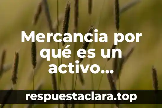 Mercancia por qué es un activo circulante