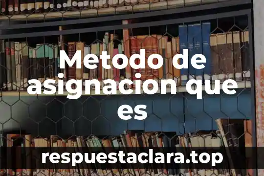 Metodo de asignacion que es