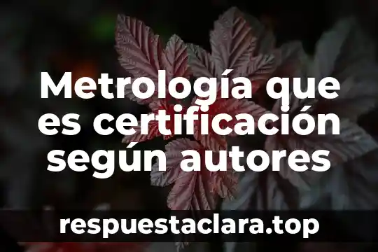 Que es liquidacion segun autores 4 Metrología que es certificación según autores