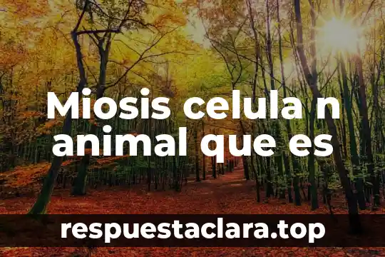 Que es el tipo de narrador de una n 6 Miosis celula n animal que es