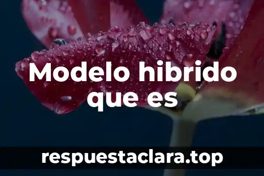 Modelo hibrido que es