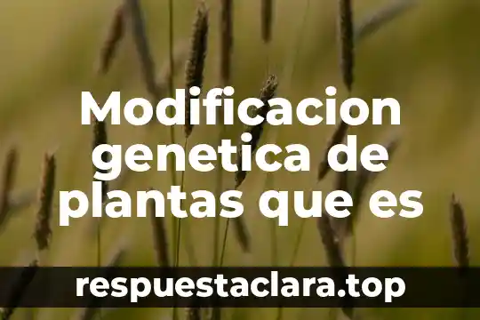 Modificacion genetica de plantas que es