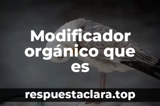 ¿Qué es más denso el agua o un compuesto orgánico? 8 Modificador orgánico que es