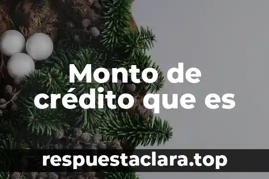 Monto de crédito que es