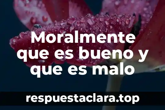 Qué es bueno para las flemas en los bebés 3 Moralmente que es bueno y que es malo