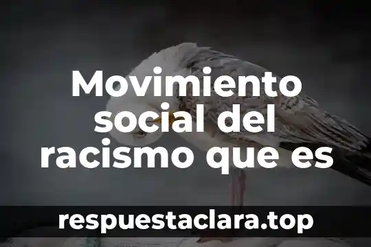 Que es in movimiento social 3 Movimiento social del racismo que es