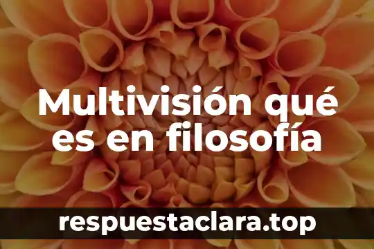 Multivisión qué es en filosofía