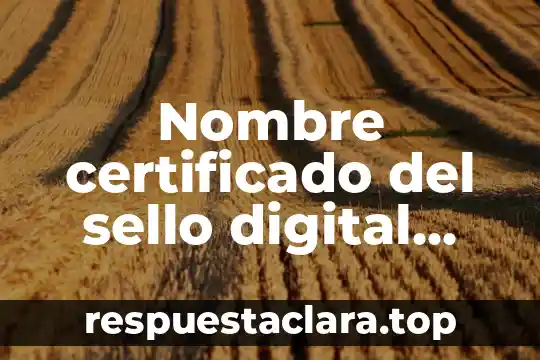 Qué es un sello digital de tiempo 5 Nombre certificado del sello digital que es