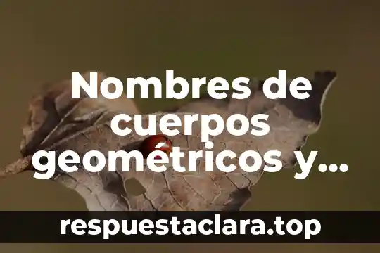 Que es juego de geometria nombres 3 Nombres de cuerpos geométricos y que es vértice