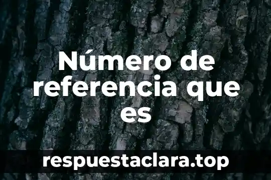 Que es descripcion del marco de referencia 7 Número de referencia que es