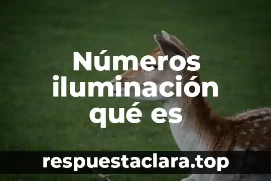 Para que es son los numeros binarios 3 Números iluminación qué es