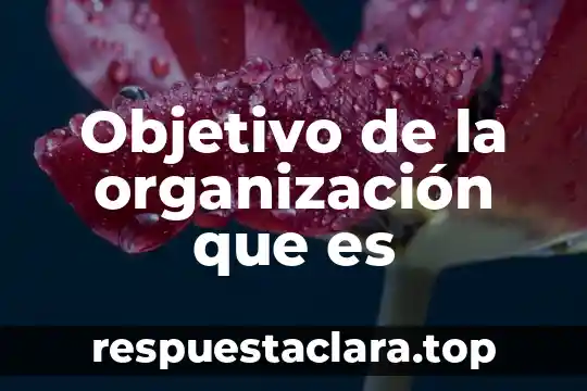 Que es un logotipo y cual es su objetivo 6 Objetivo de la organización que es