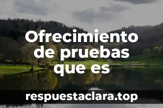 Ofrecimiento de pruebas que es