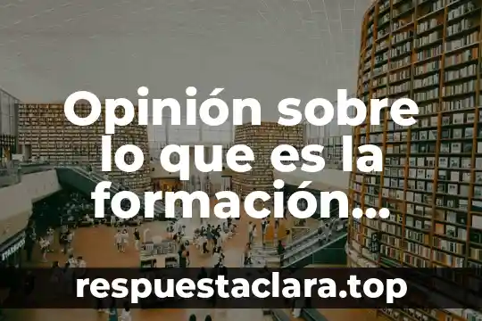 Libro de formación cívica sobre que es ciudadano 6 Opinión sobre lo que es la formación educativa