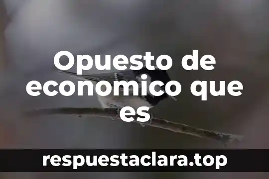 Opuesto de economico que es