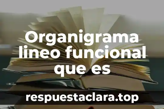 Organigrama lineo funcional que es