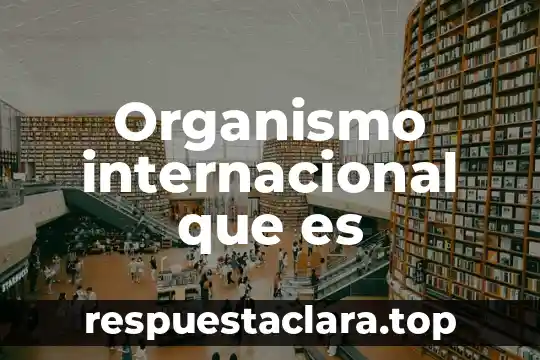 Que es un acontecimiento internacional 3 Organismo internacional que es