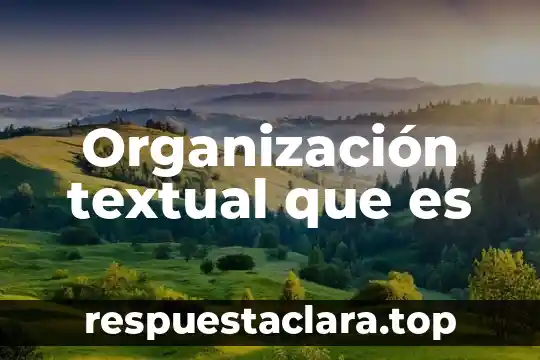 Organización textual que es