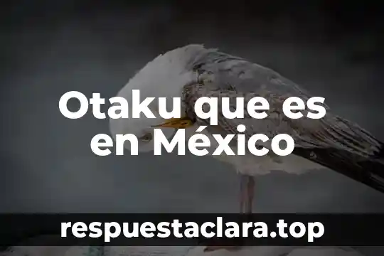 Qué es un logotipo y cómo se diseña 8 Otaku que es en México