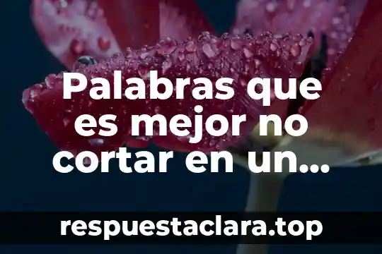 Que es una familia de palabras etimología 4 Palabras que es mejor no cortar en un párrafo