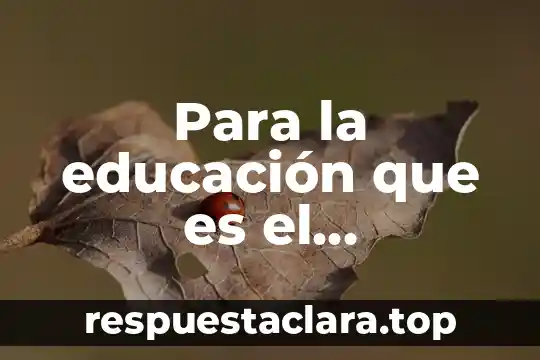 Para la educación que es el rendimiento