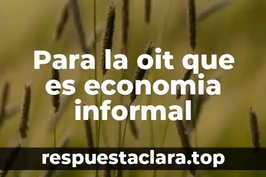 Para la oit que es economia informal