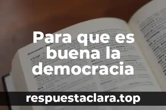 Para que es buena la democracia