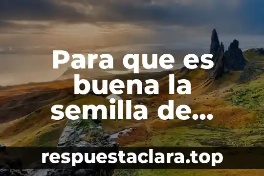 Para que es buena la semilla de guanabana
