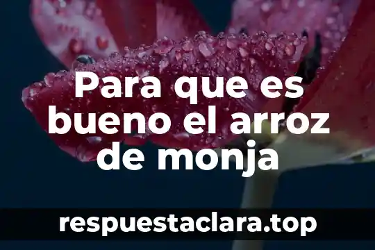 Qué es mejor tomar leche, arroz o avena 4 Para que es bueno el arroz de monja
