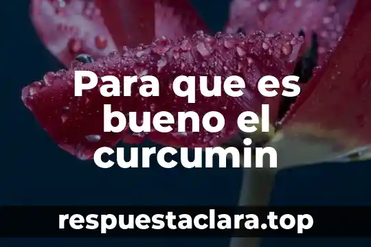 Para que es bueno el curcumin