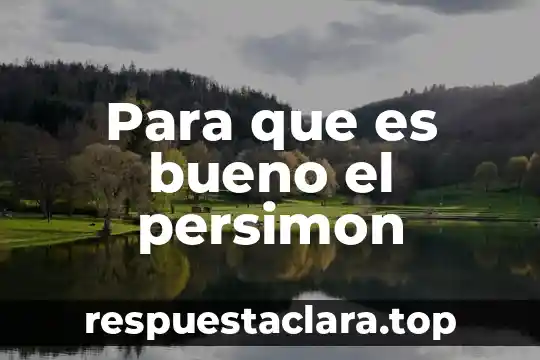 Para que es bueno el persimon