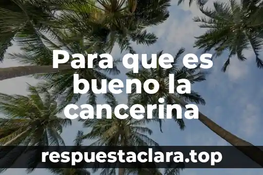 Que es encubrir significado 8 Para que es bueno la cancerina