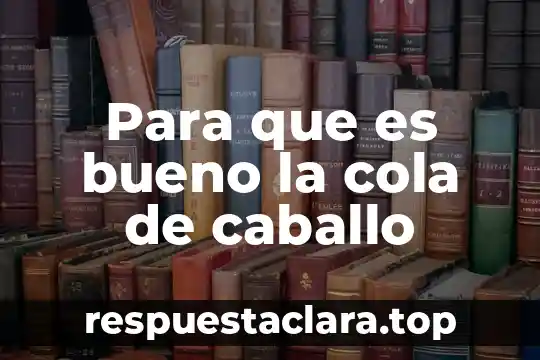 Para que es bueno la cola de caballo