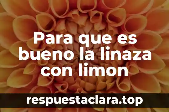 Te de limón que es nombre científico 4 Para que es bueno la linaza con limon